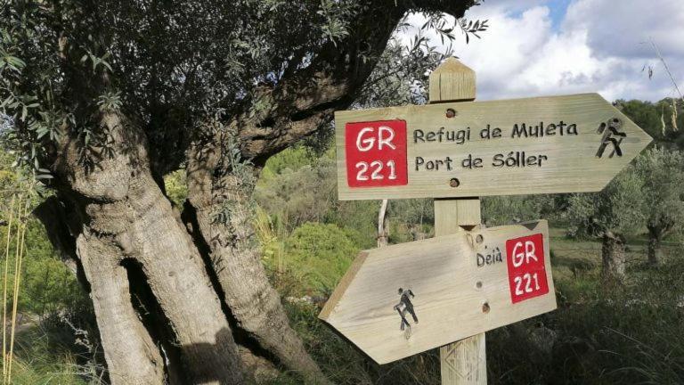 Nadal Bed & Breakfast