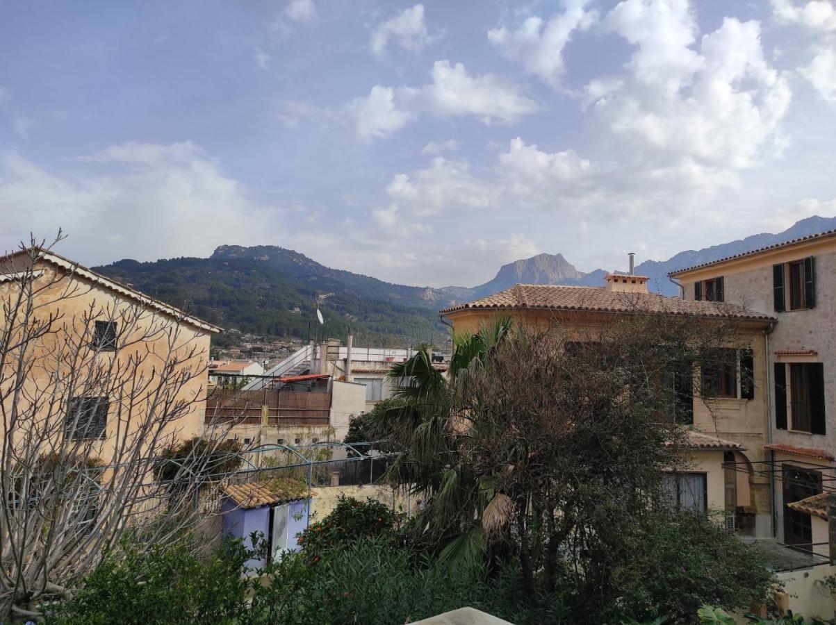 Nadal Sóller